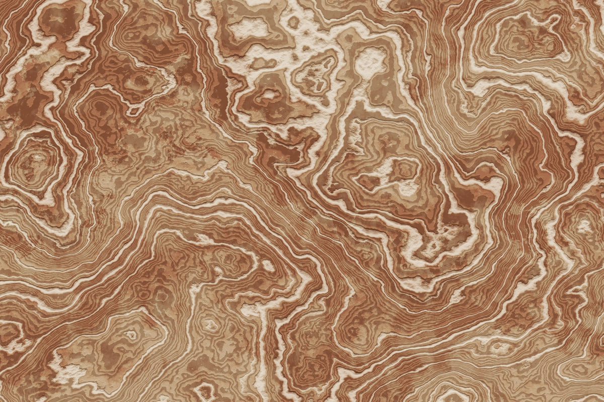 Concentric Earth Agate Texture Wall Mural in your room
