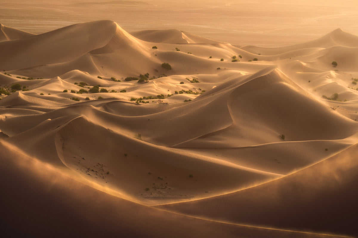 Golden Hour Desert Dunes Wall Mural in your room