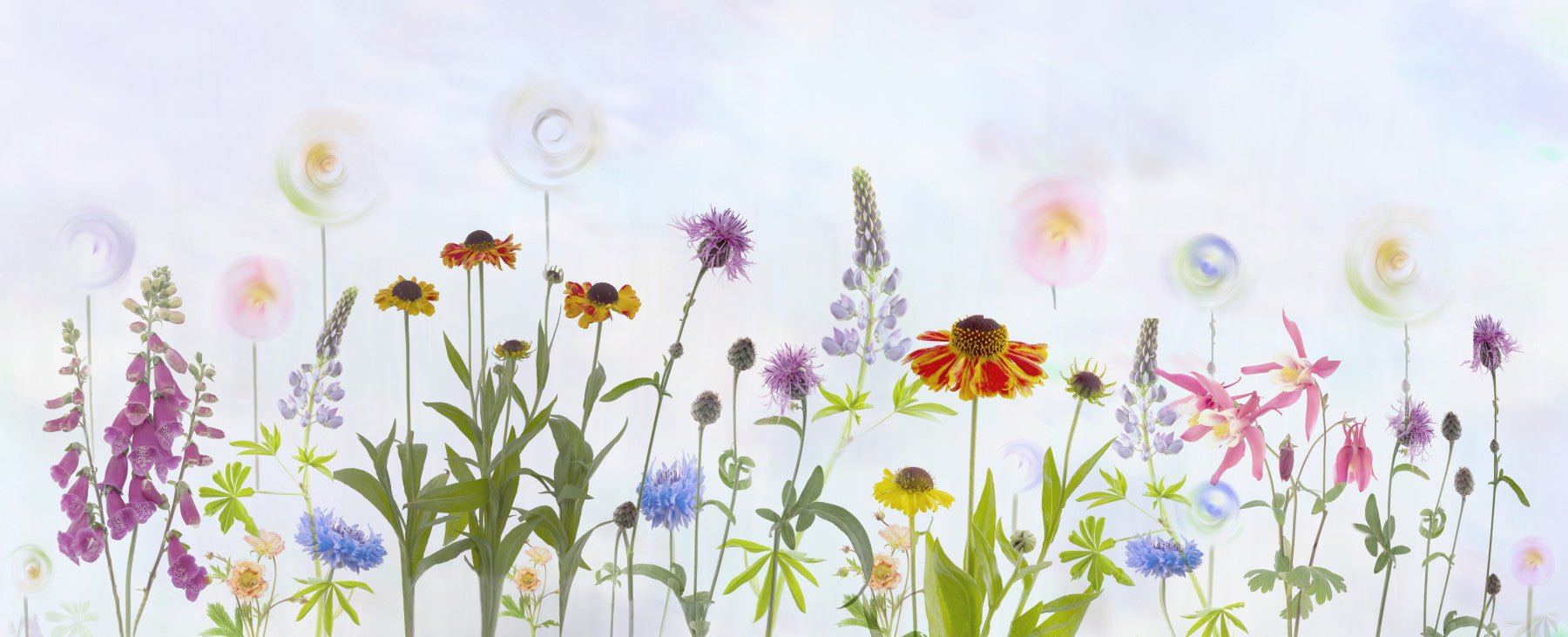 Dreamy Pastel Wildflower Garden Wall Mural