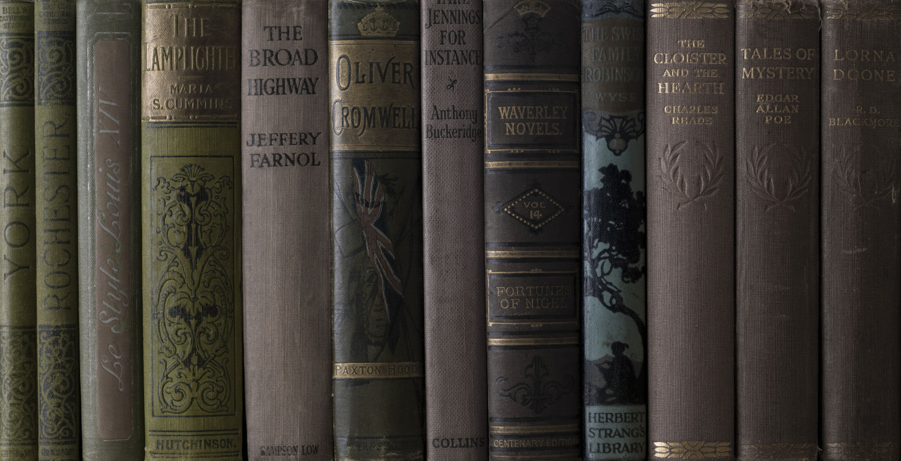 Vintage Library Book Spine Collection Wall Mural