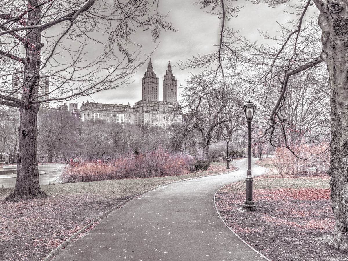 Central Park Skyline Promenade Wall Mural