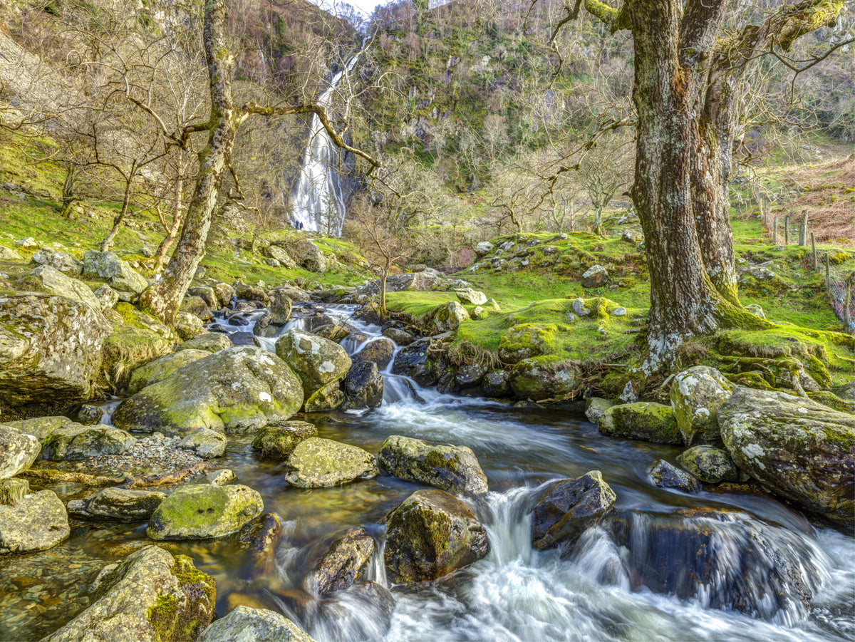 Cascading Highland Waterfall Stream Wall Mural in your room