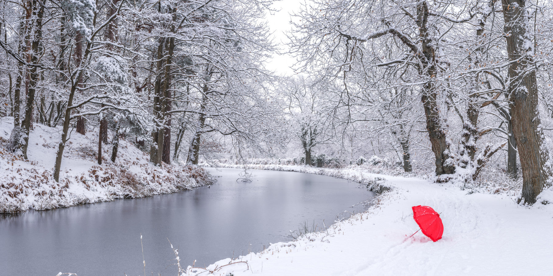 Winter Forest Red Umbrella Wall Mural