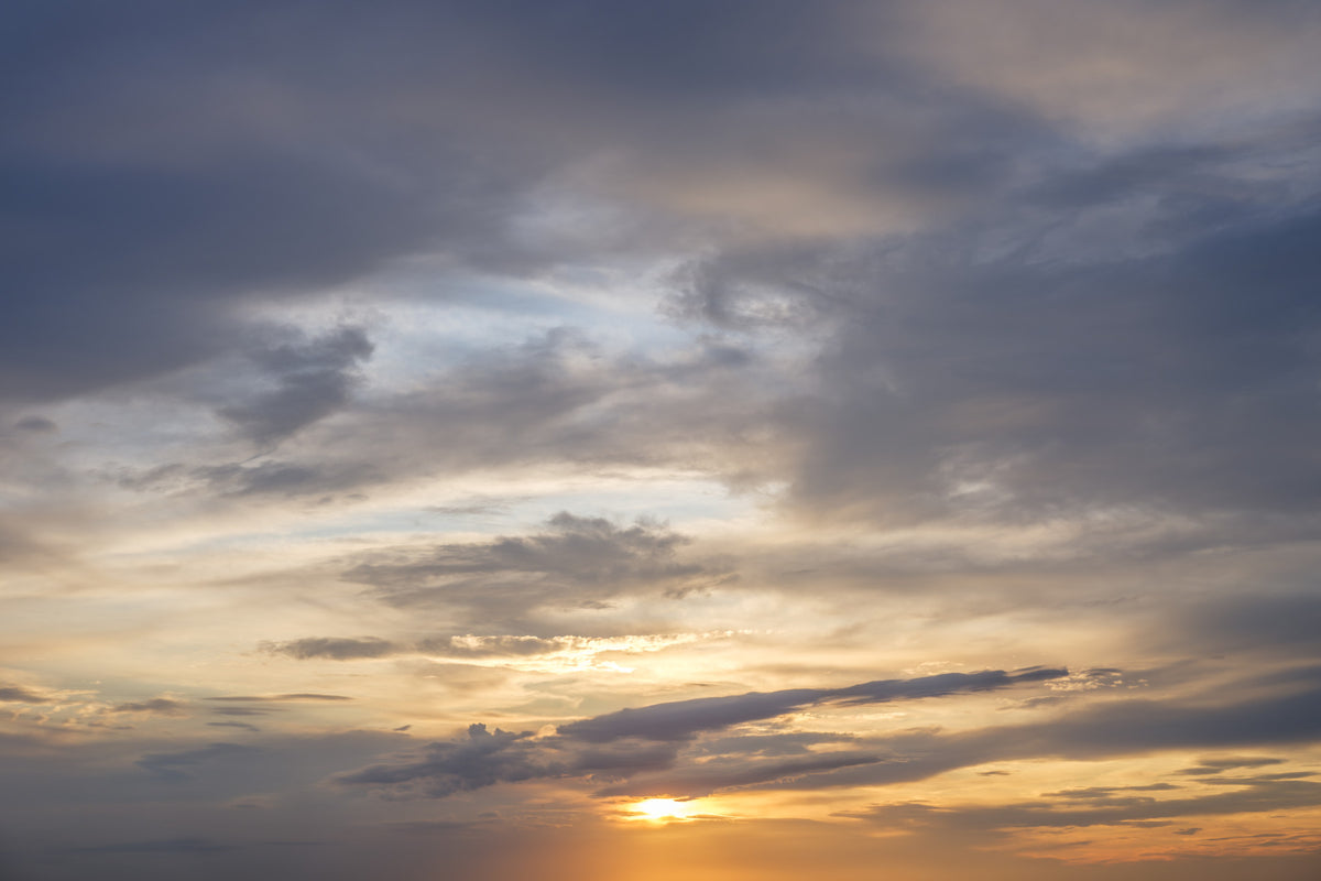 Golden Dusk Horizon Wall Mural in your room — zoomed