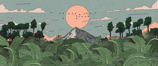 Jungle Horizon Sunset View Wall Mural