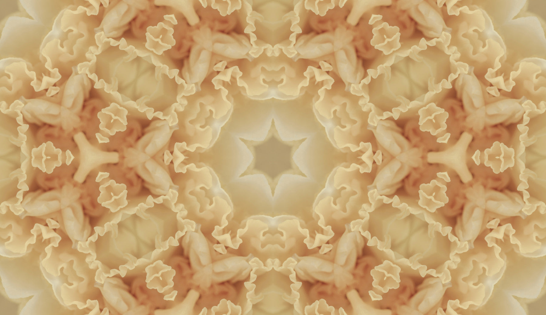 Soft Peach Ruffled Kaleidoscope Wallpaper⁠