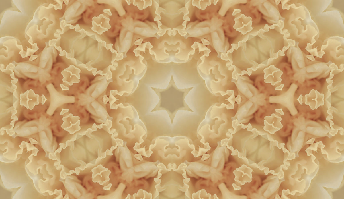 Soft Peach Ruffled Kaleidoscope Wallpaper⁠ in your room