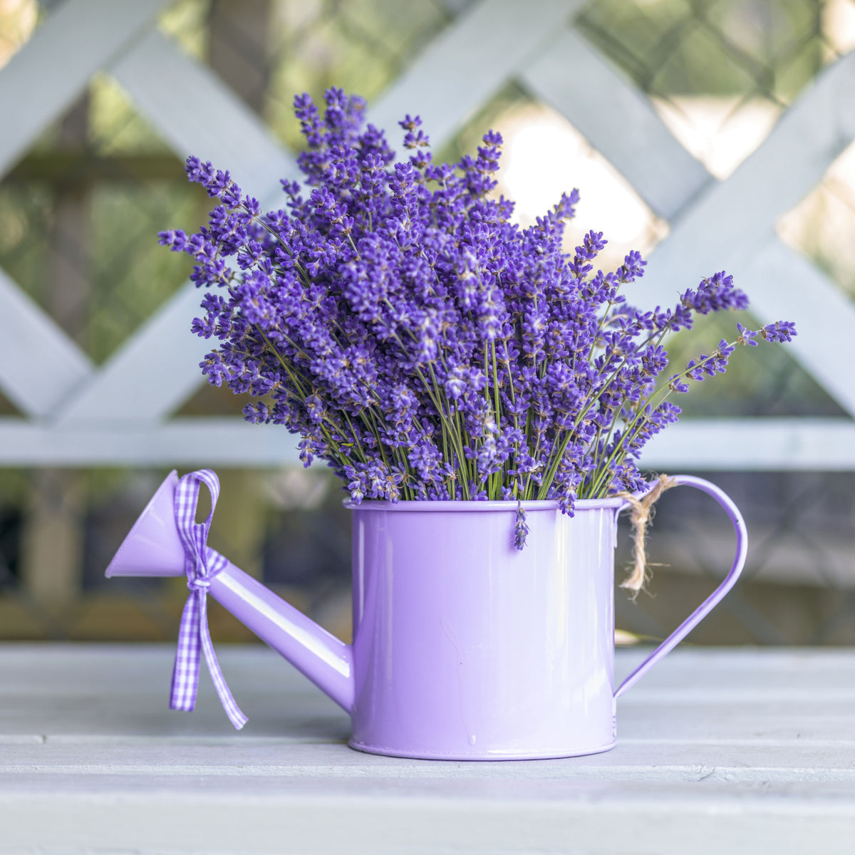 Purple Lavender Watering Can Garden Wall Mural in your room