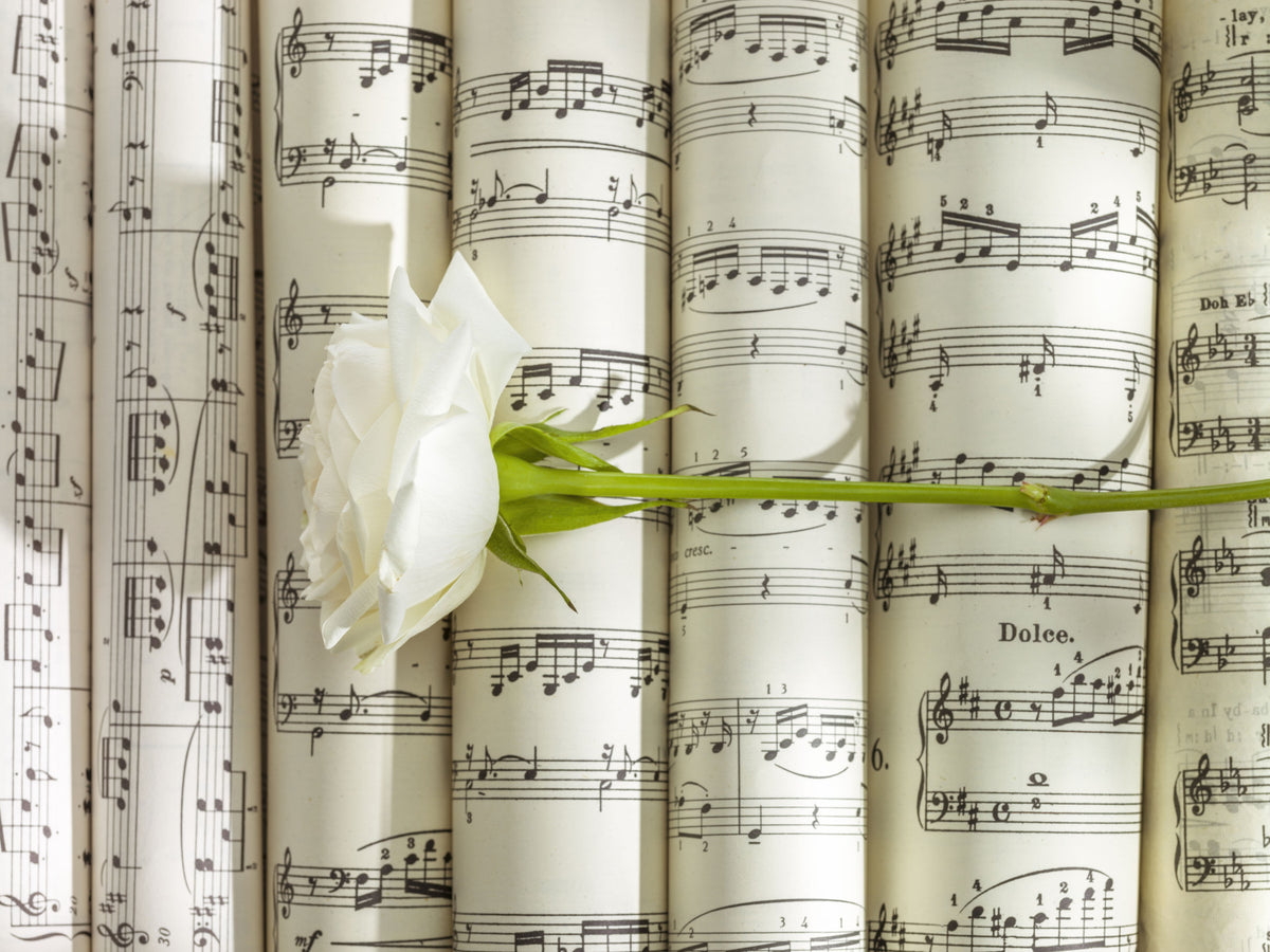 Melodic White Bloom Harmony Wall Mural in your room — zoomed