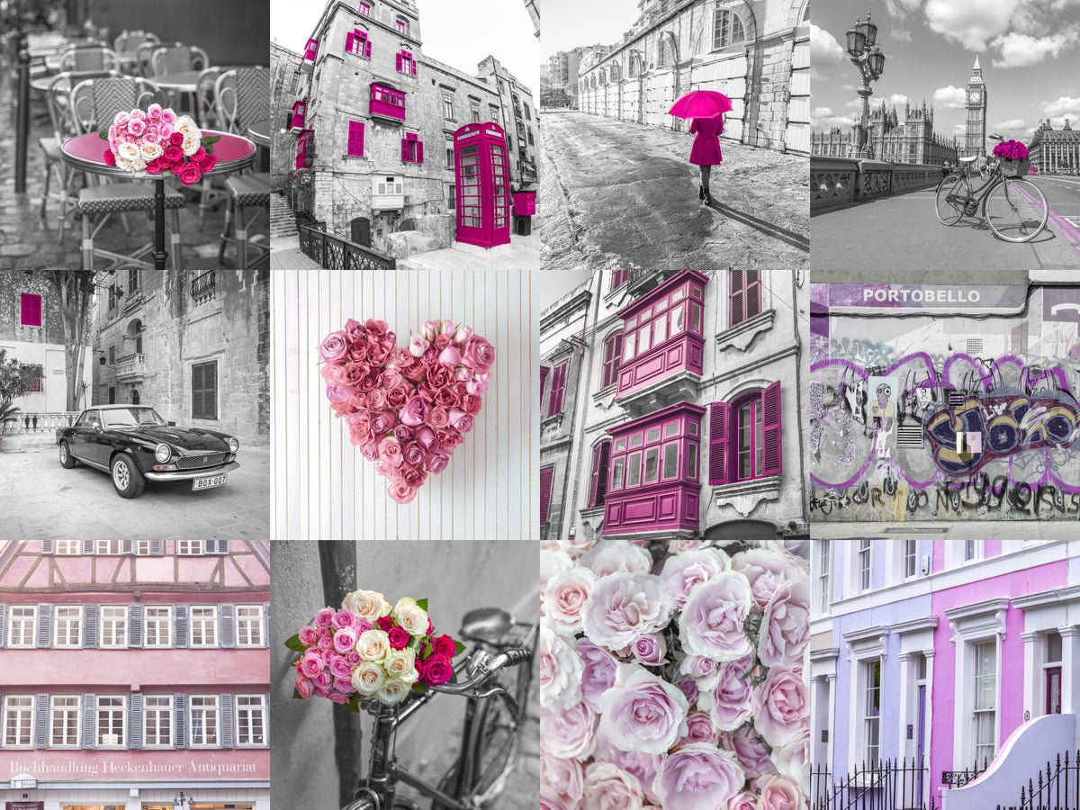 Monochrome Rose Cityscape Fusion Wall Mural