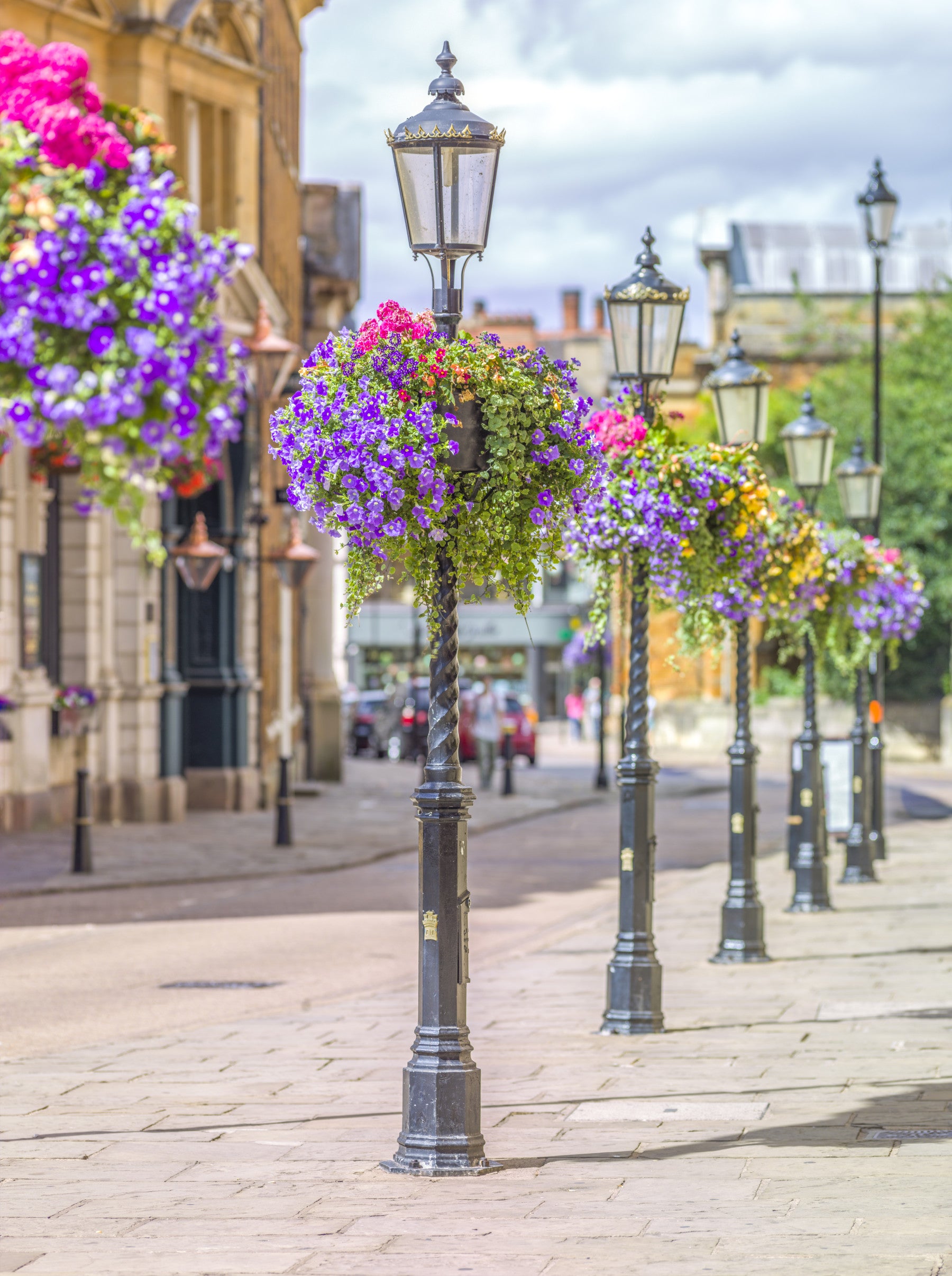 English Garden Street Vista Wall Mural in your room — zoomed