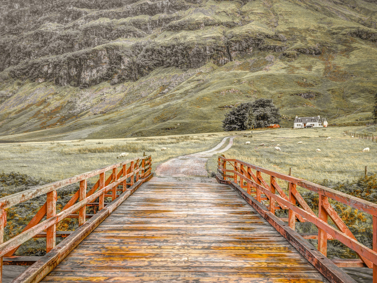 Highland Valley Bridge Path Wall Mural in your room — zoomed