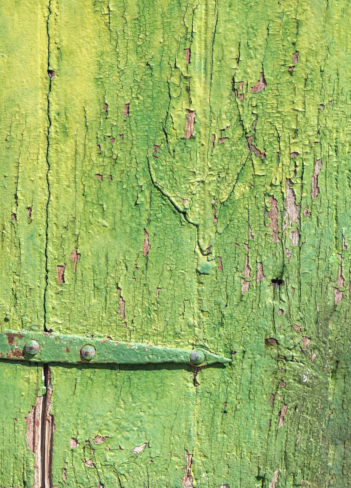 Rustic Industrial Green Wood Hinge Wall Mural in your room