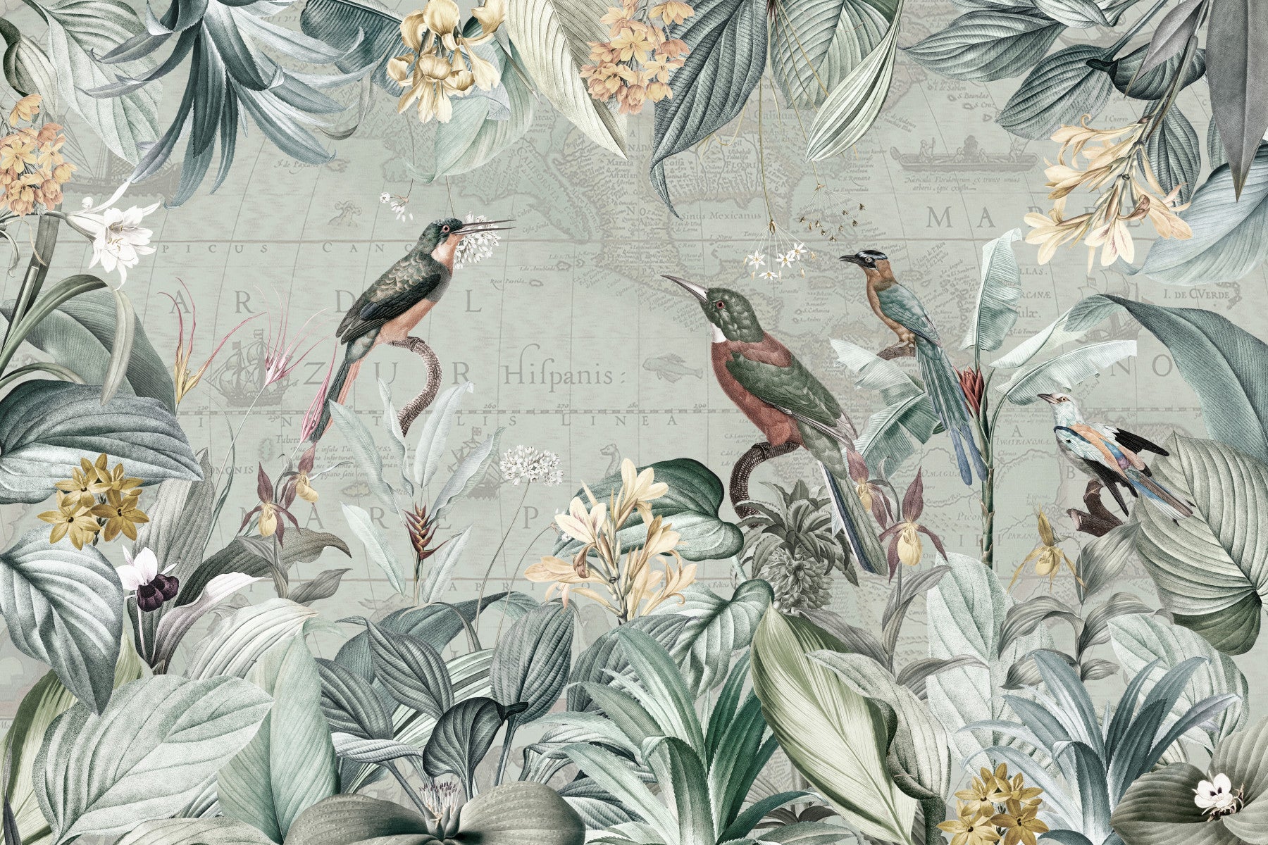 Vintage Explorer Tropical Garden Wall Mural