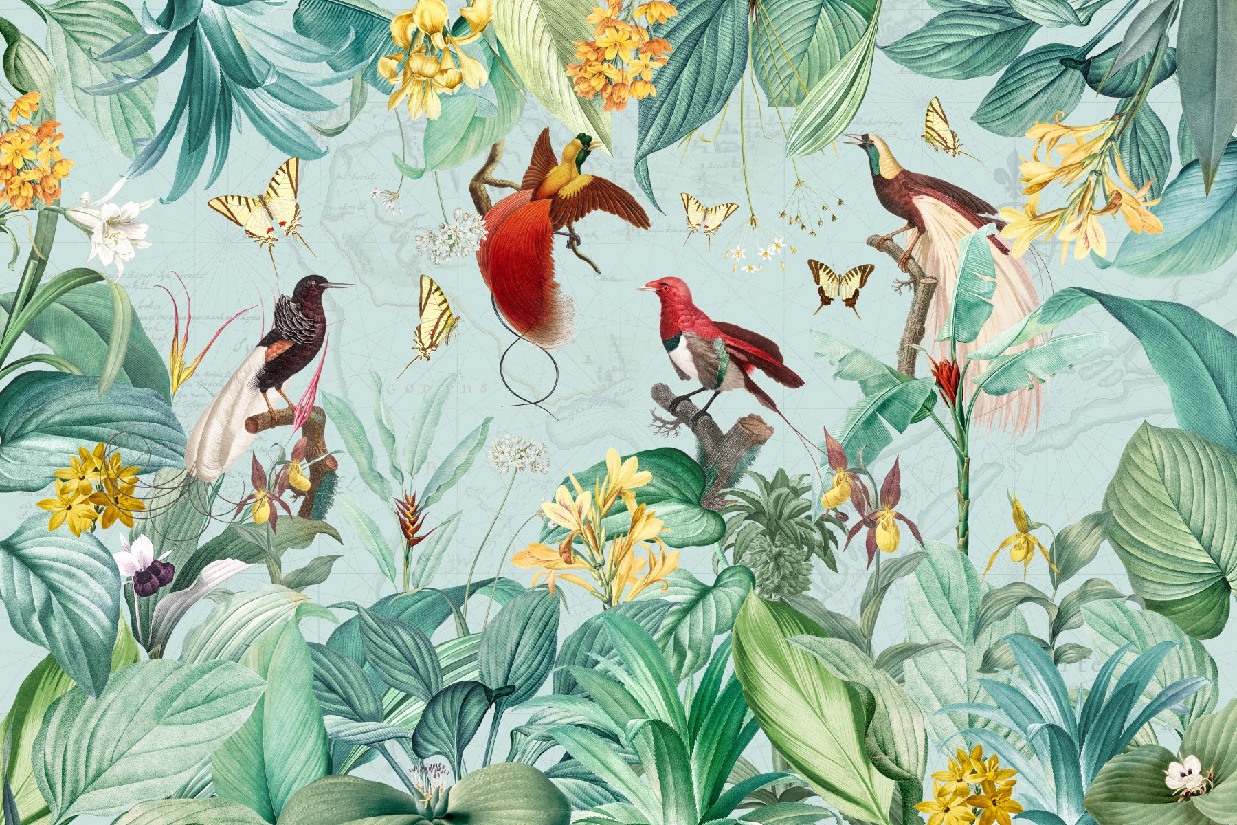Exotic Bird and Tropical Flora Illustration Wall Mural