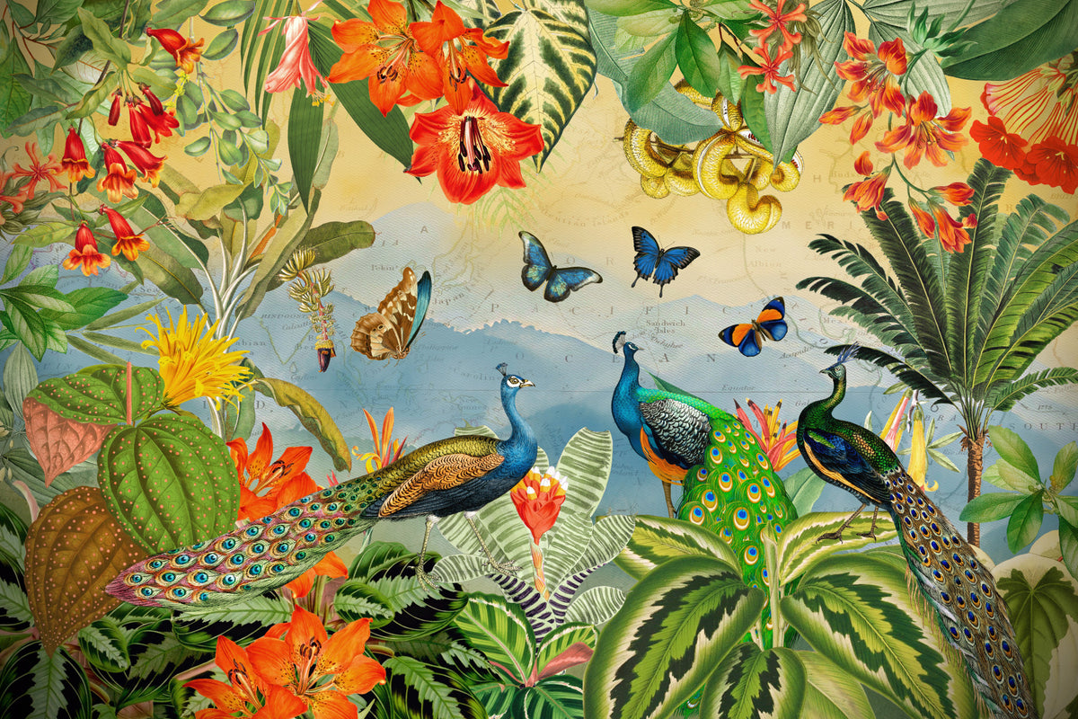 Vintage Peacock and Tropical Botanical Explorer Wall Mural in your room