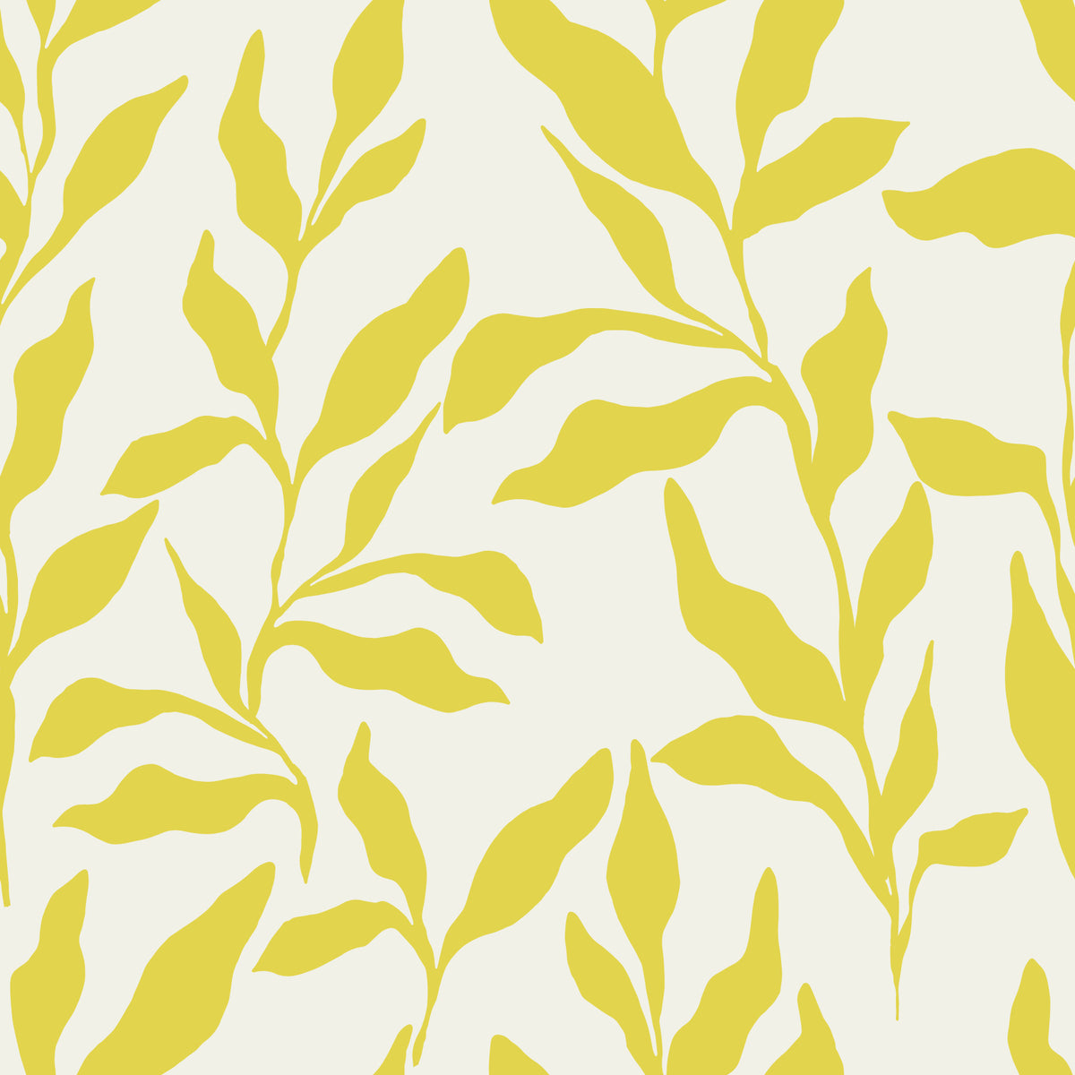 Sun-Kissed Golden Foliage Wallpaper⁠ in your room
