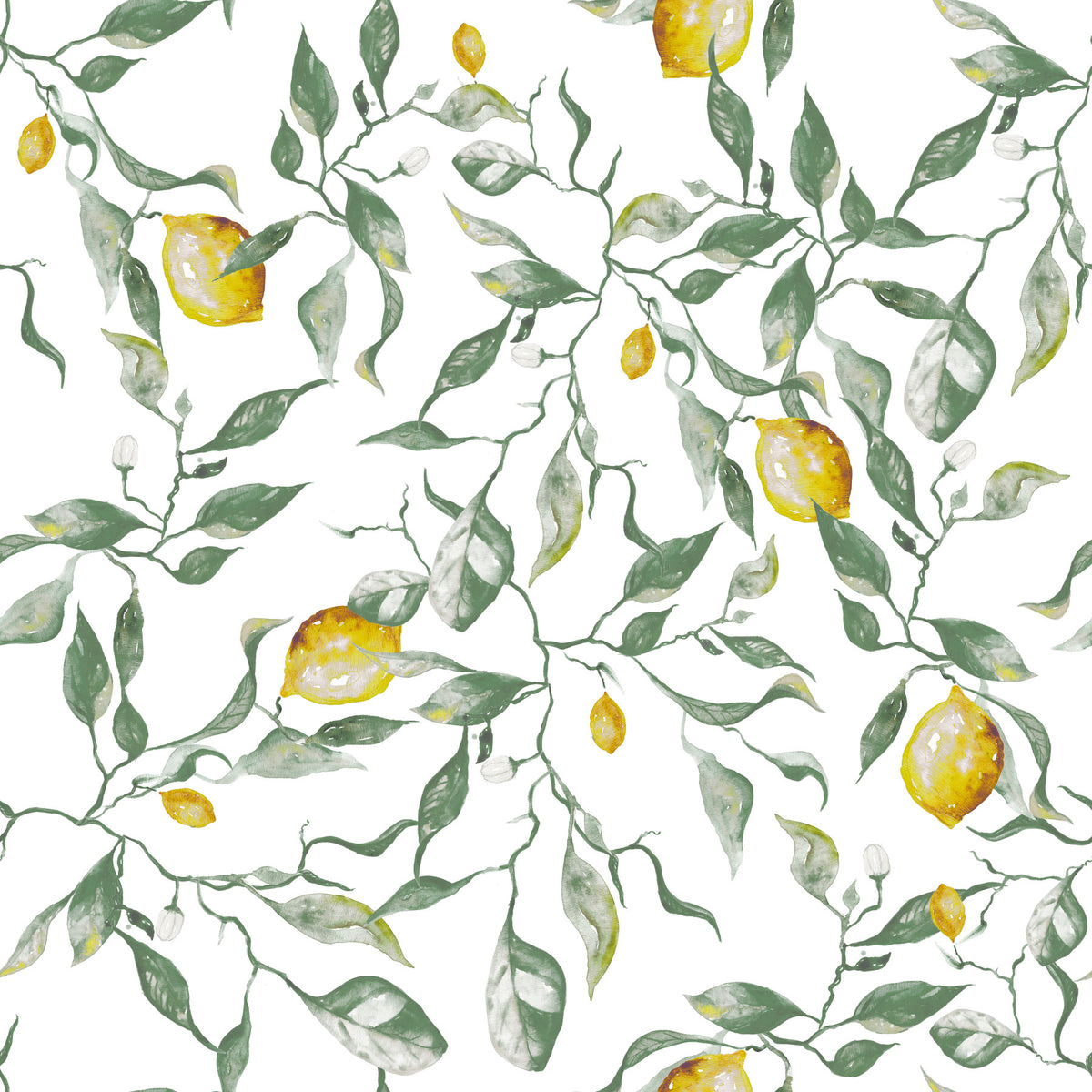 Mediterranean Citrus Grove Illustration Wallpaper⁠
