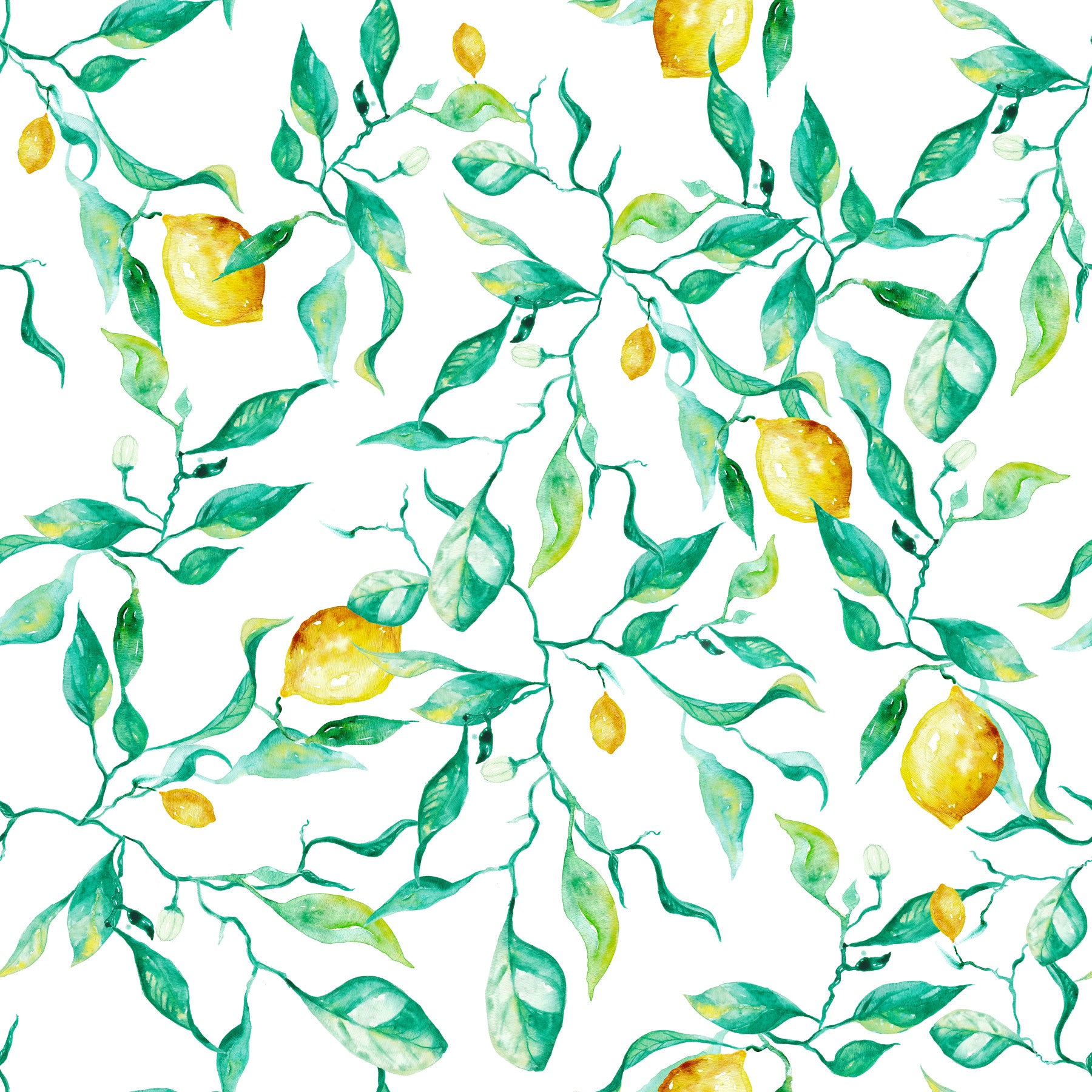 Mediterranean Citrus Grove Orchard Wallpaper⁠