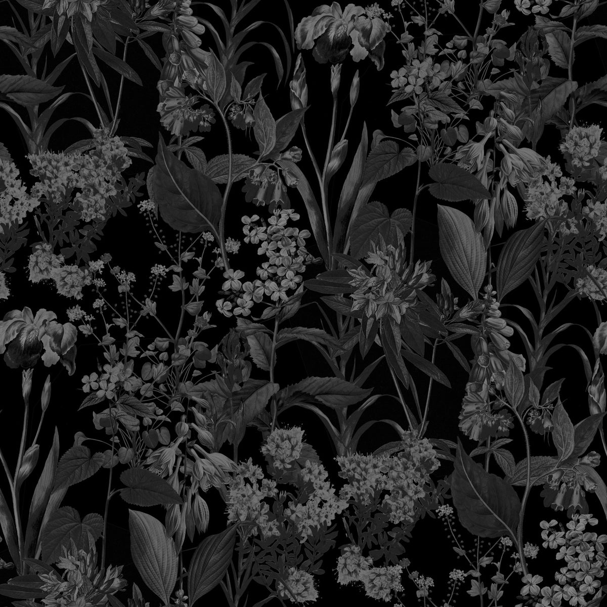 Enchanted Monochrome Garden Wallpaper⁠ in your room