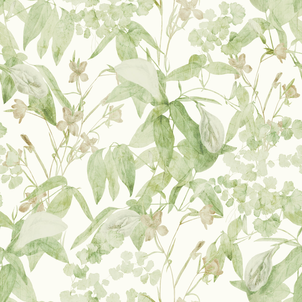 Verdant Meadow Botanical Illustration Wallpaper⁠ in your room — zoomed