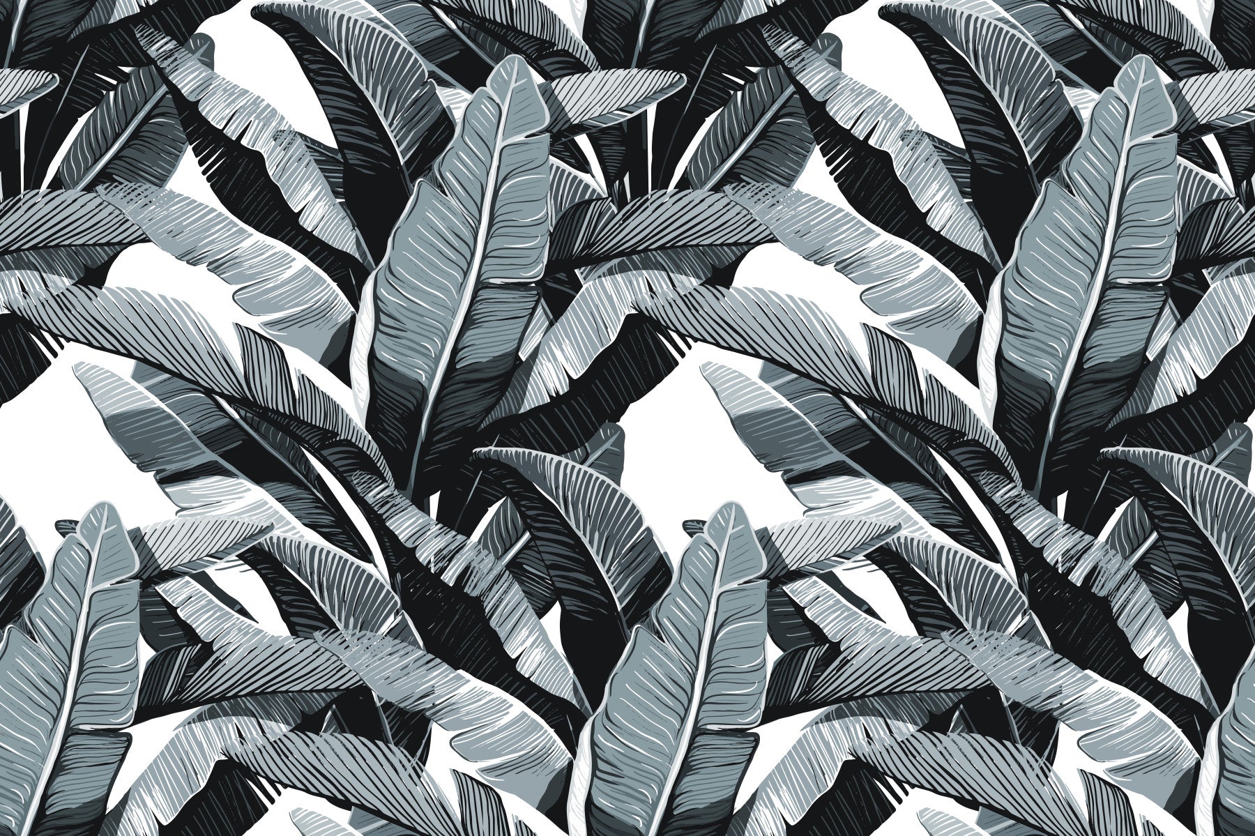 Monochrome Tropical Palm Fronds Wallpaper⁠