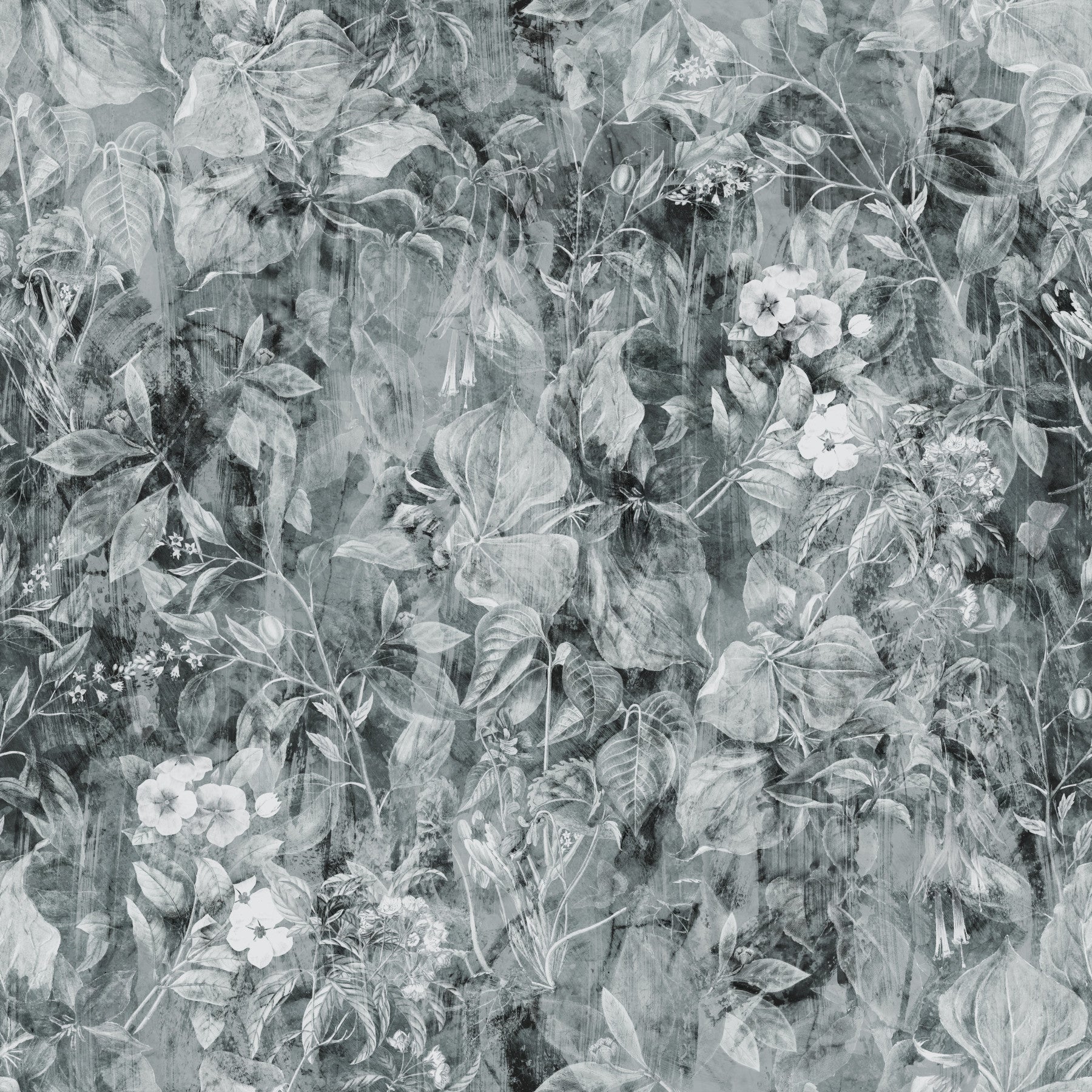 Monochrome Botanical Shadow Wallpaper⁠