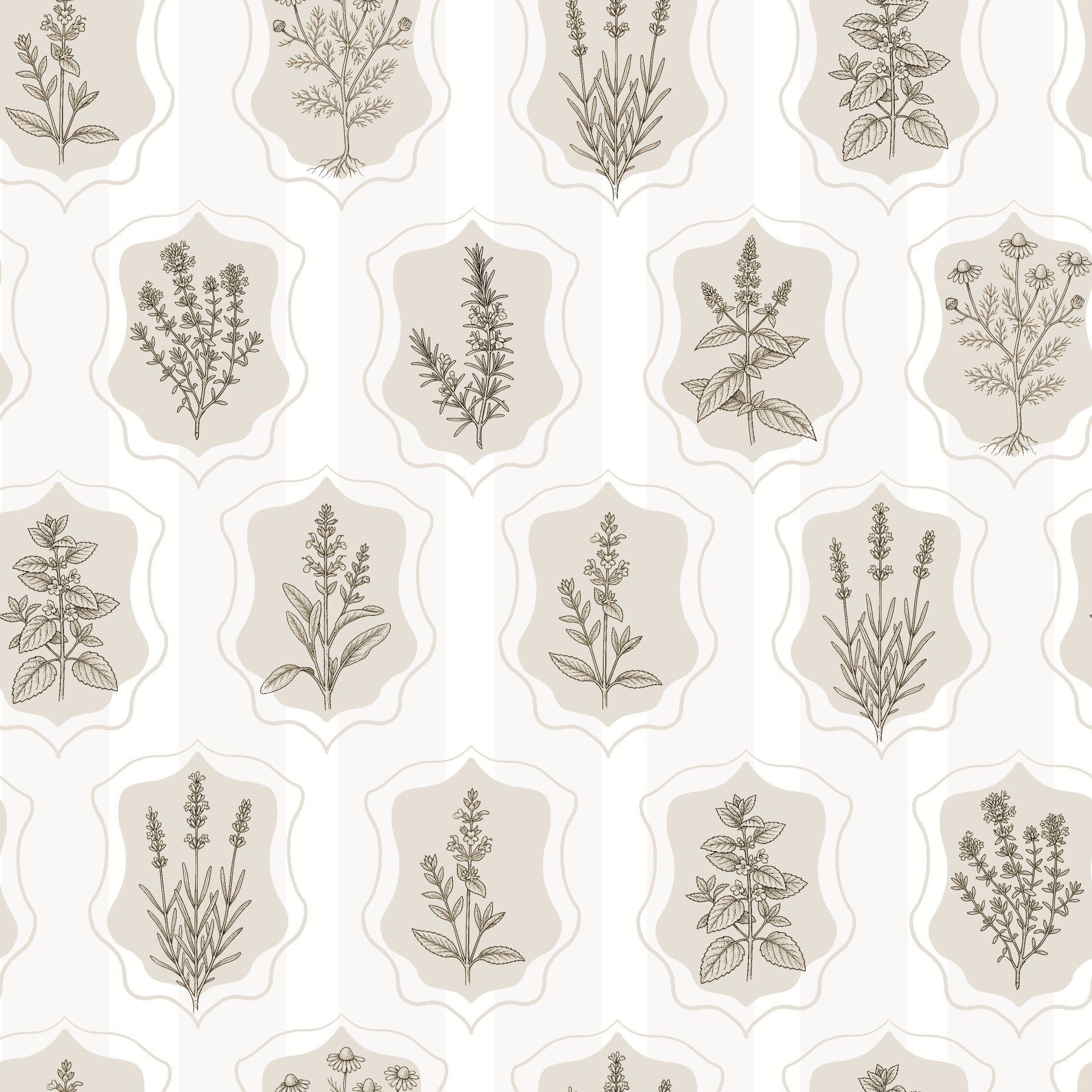 Vintage Botanical Herb Garden Sketch Wallpaper⁠