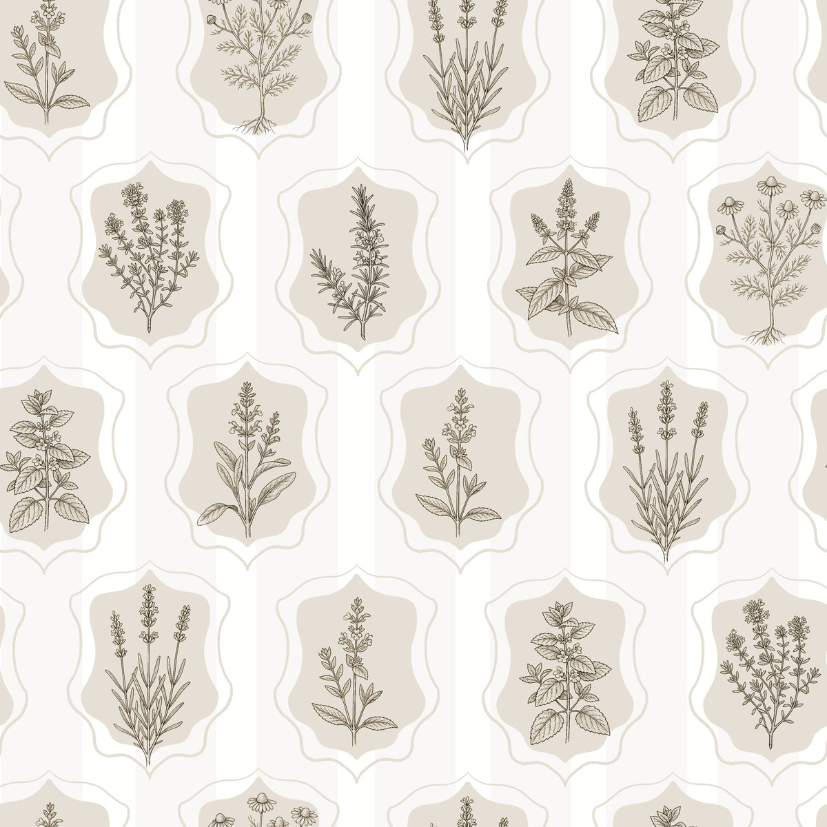 Vintage Botanical Herb Garden Sketch Wallpaper⁠ in your room