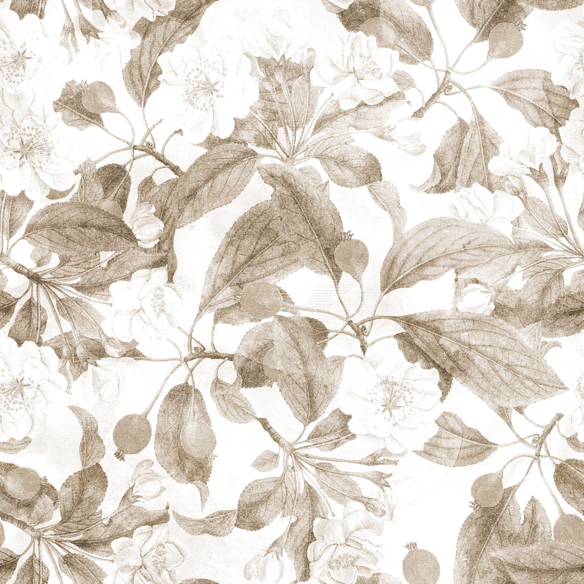 Vintage Botanical Sepia Bloom Wallpaper⁠ in your room