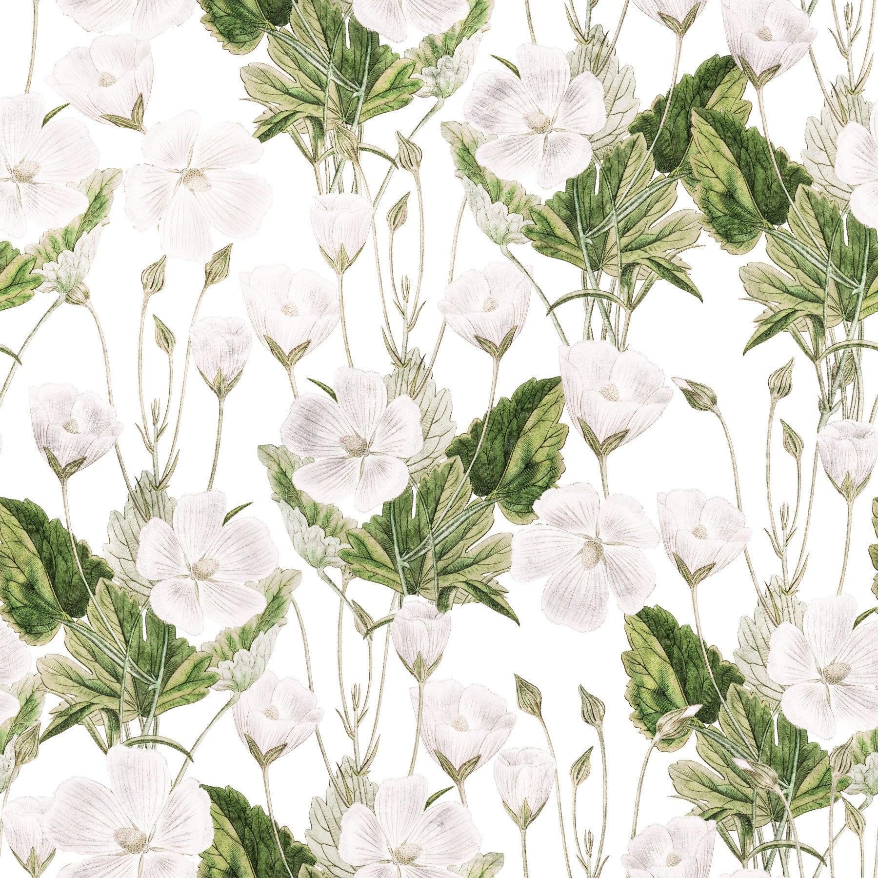 Botanical Meadow Sketch Wallpaper⁠