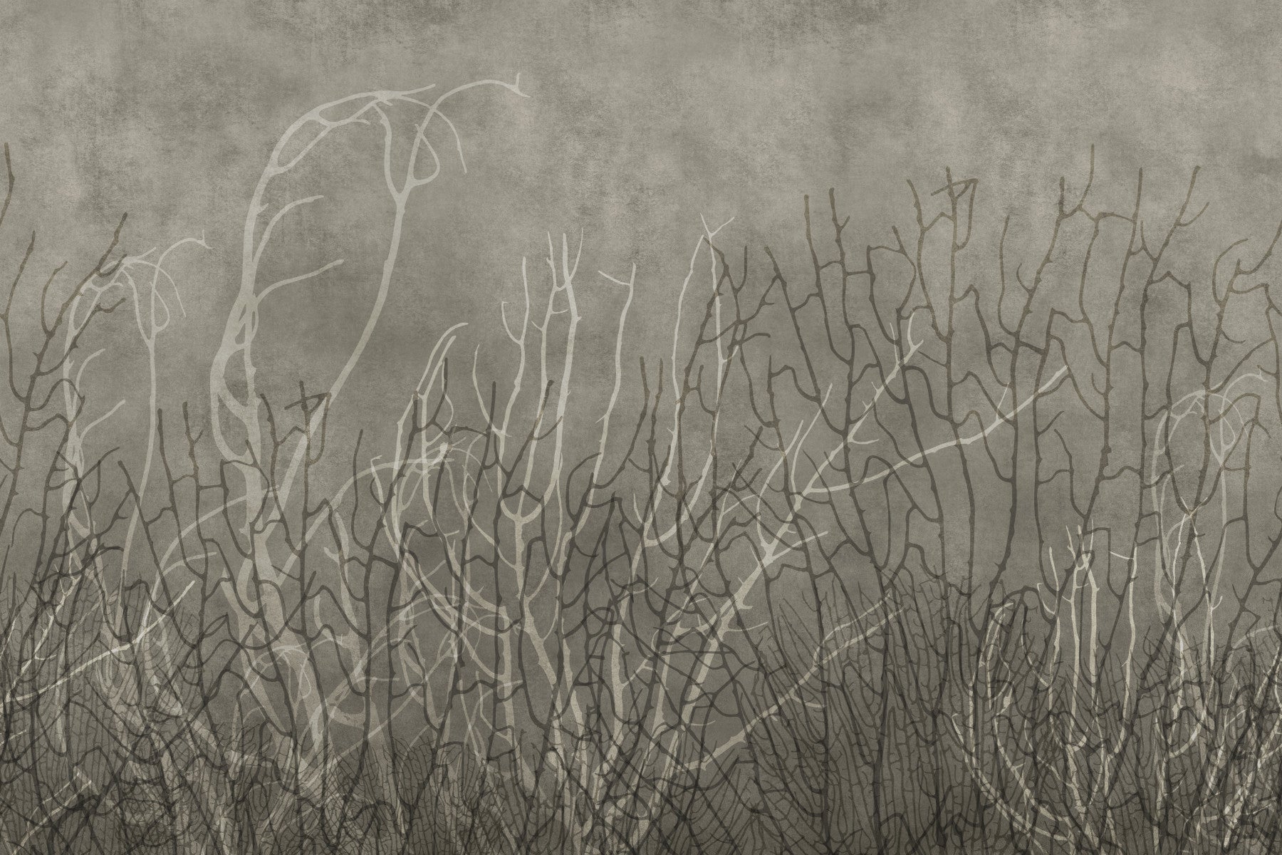 Sea Fans - Greige Wall Mural