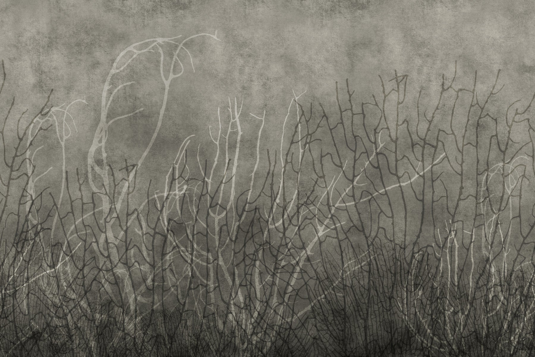 Sea Fans - Dusk Wall Mural