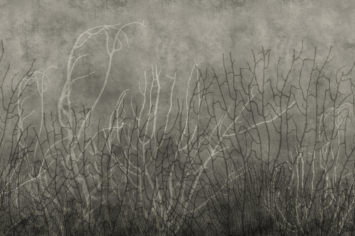 Sea Fans - Dusk Wall Mural in your room