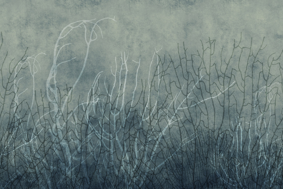Sea Fans - Deep Lake Wall Mural in your room