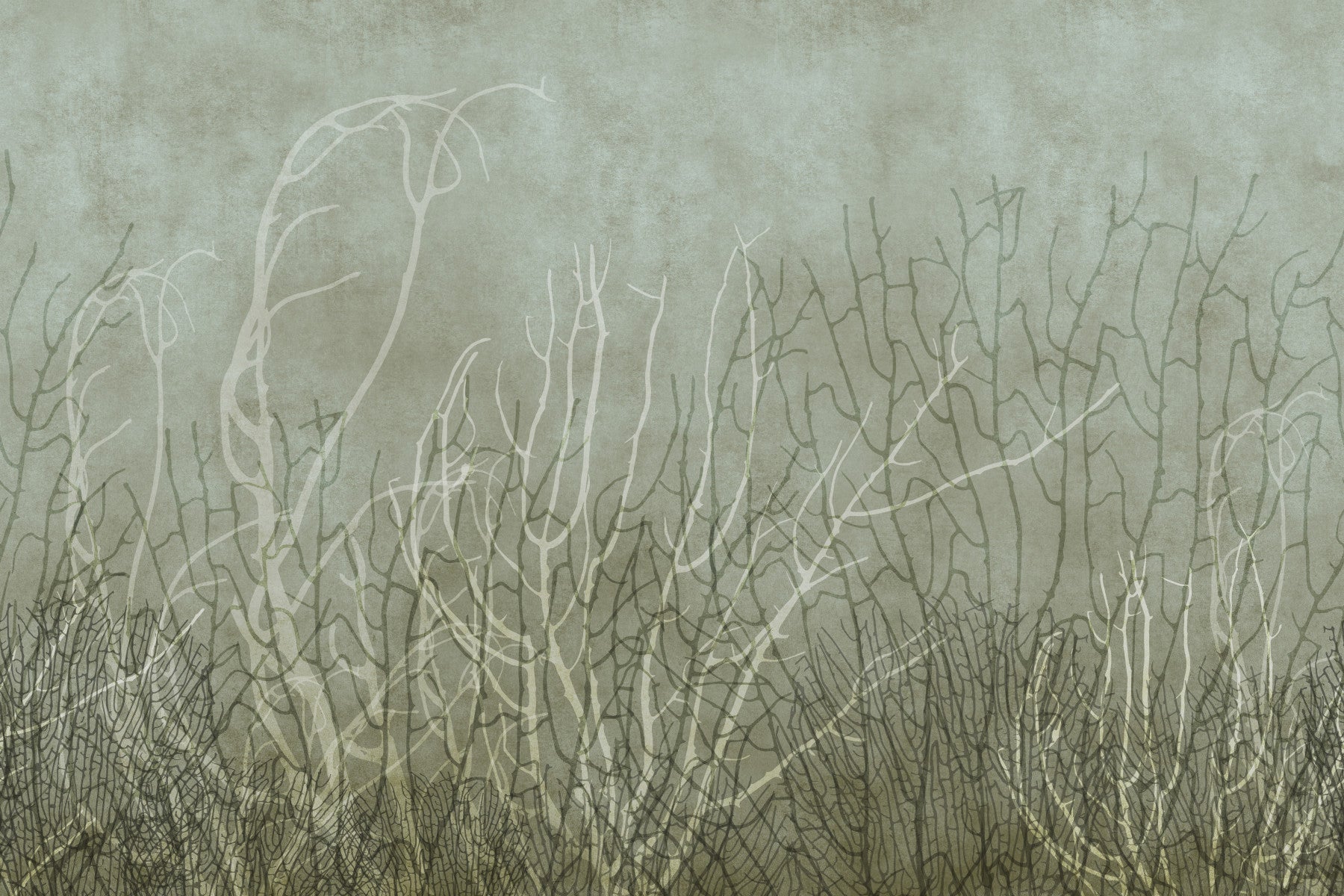 Sea Fans - Ocean Brine Wall Mural