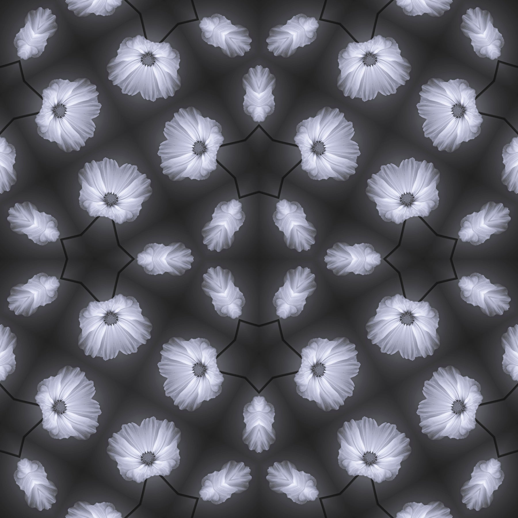 Monochrome Floral Kaleidoscope Wallpaper⁠