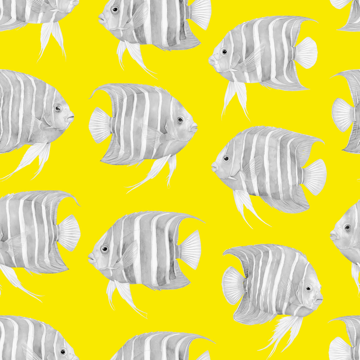 Karli The Fish Wallpaper⁠ in your room