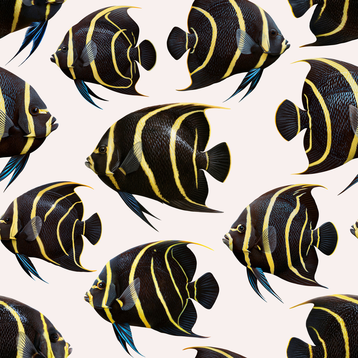 Angel The Fish 01 Wallpaper⁠ in your room — zoomed