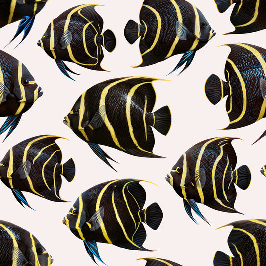 Angel The Fish 01 Wallpaper⁠