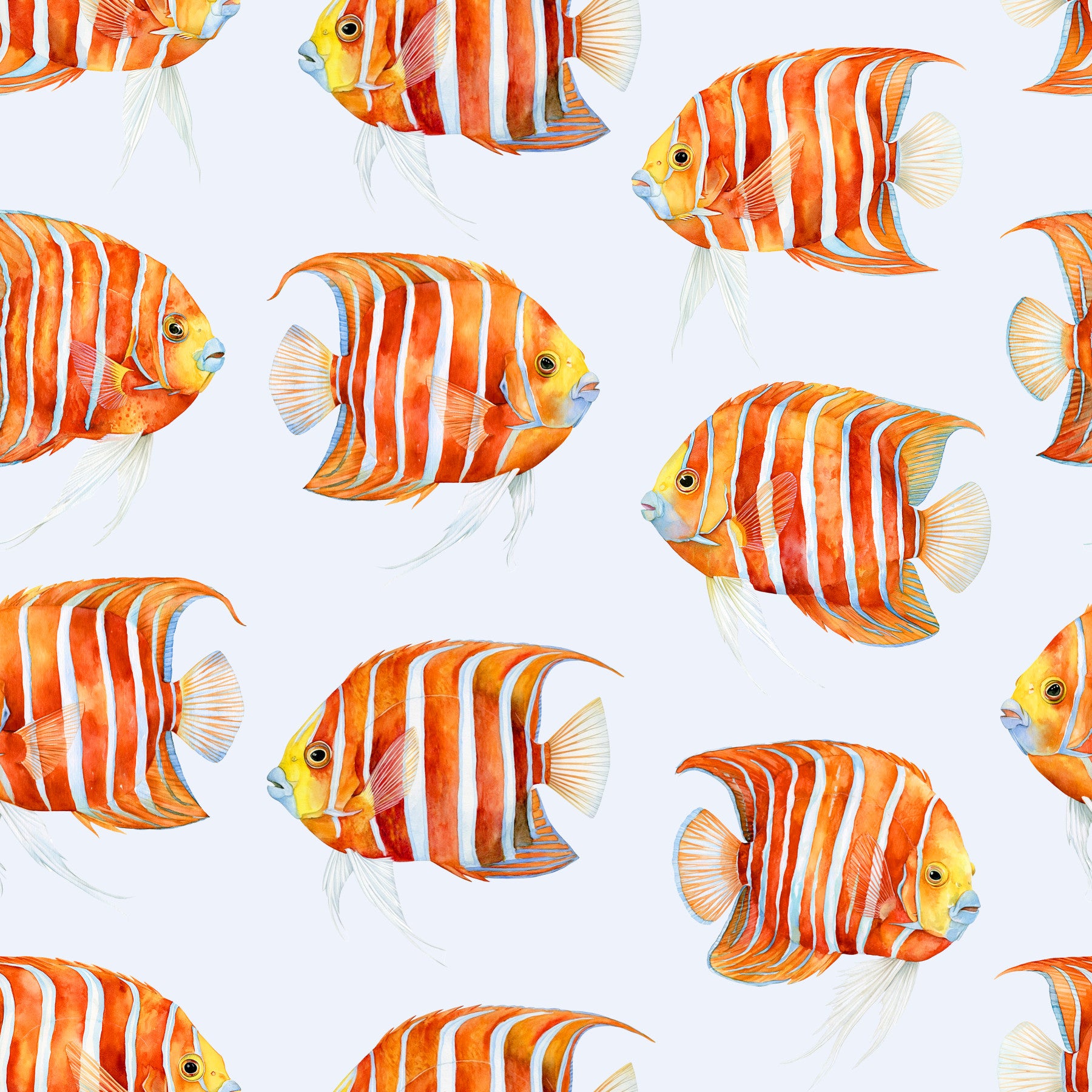 Karli The Fish 02 Wallpaper⁠