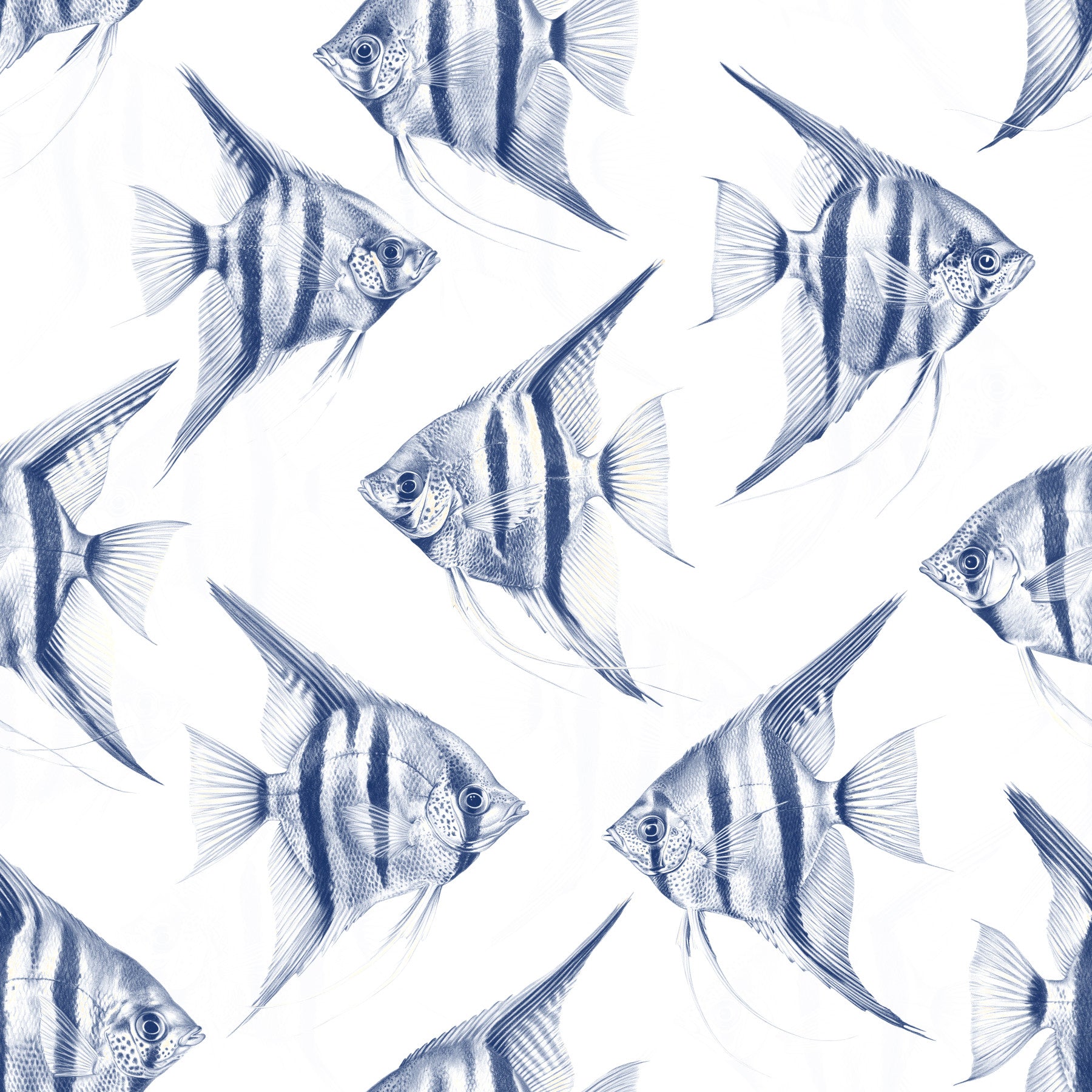 Origon The FIsh Wallpaper⁠