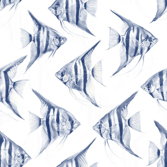 Origon The FIsh Wallpaper⁠