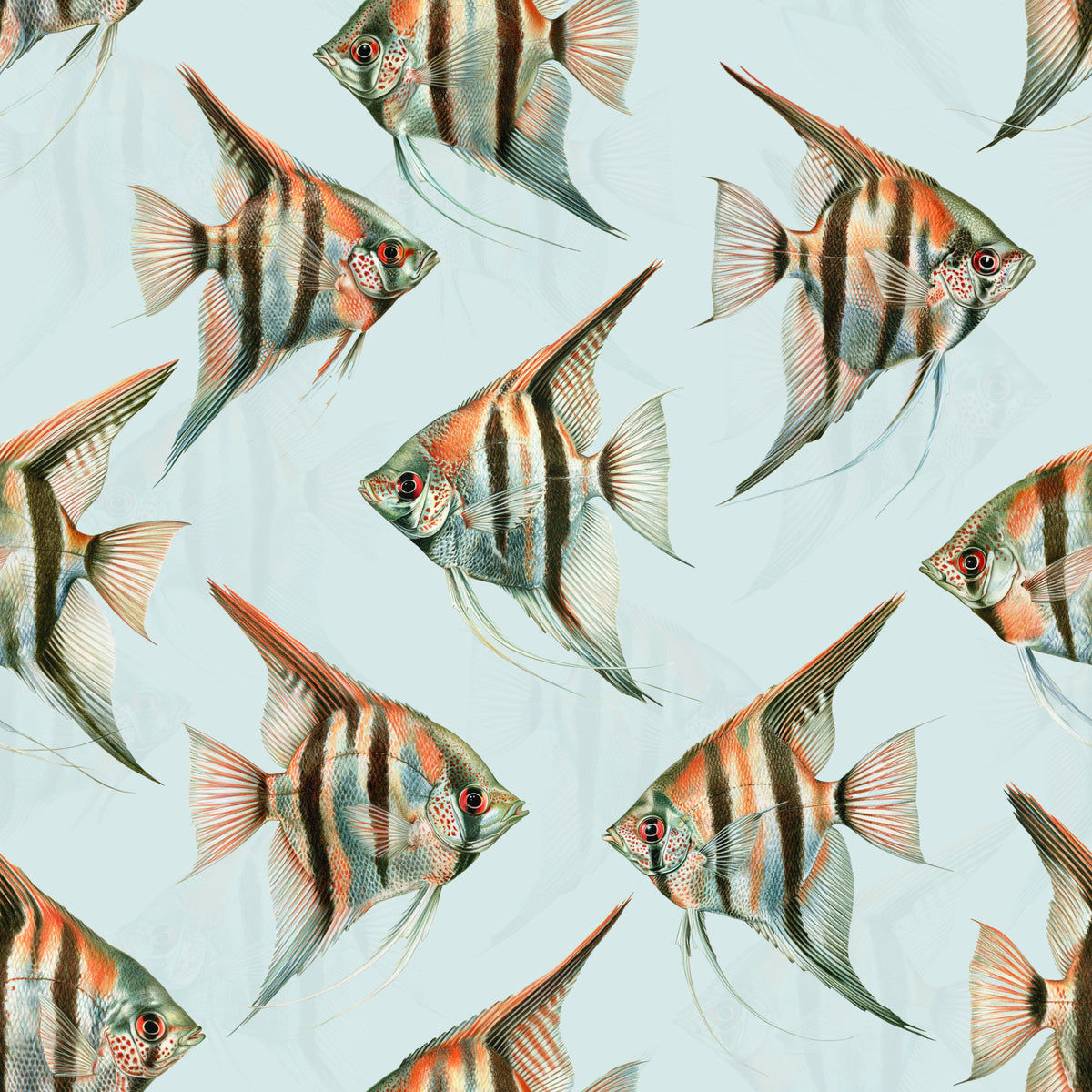 Origon The Fish 02 Wallpaper⁠ in your room