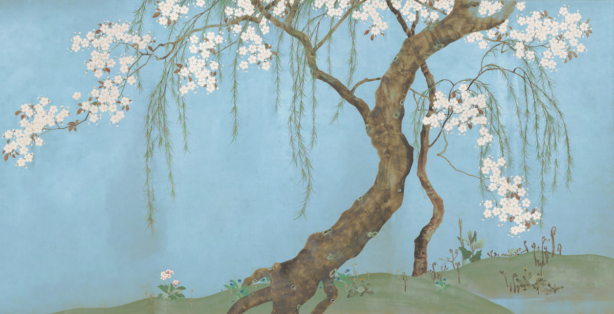 Serene Cherry Blossom Willow Wall Mural in your room