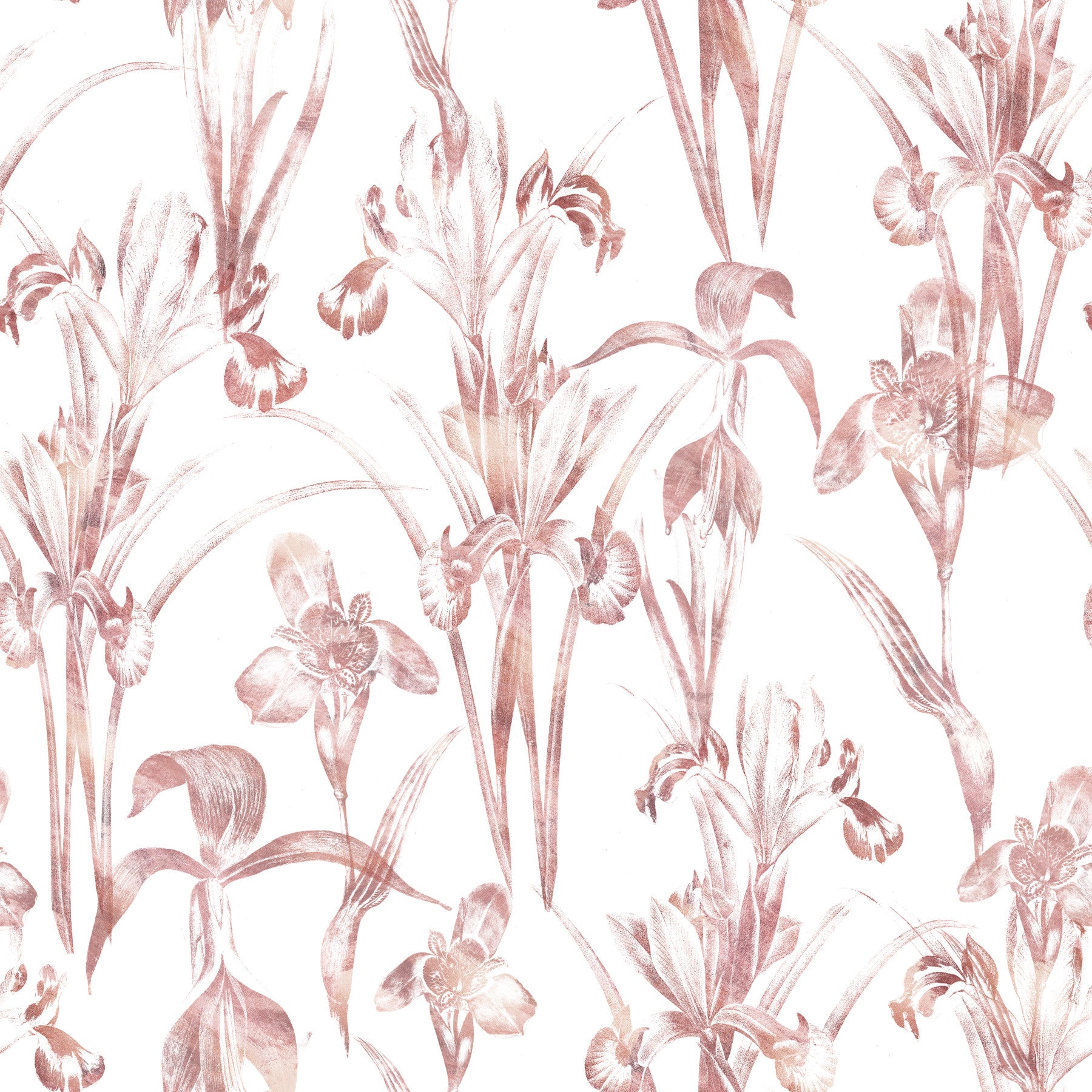 Ethereal Blush Iris Garden Wallpaper⁠