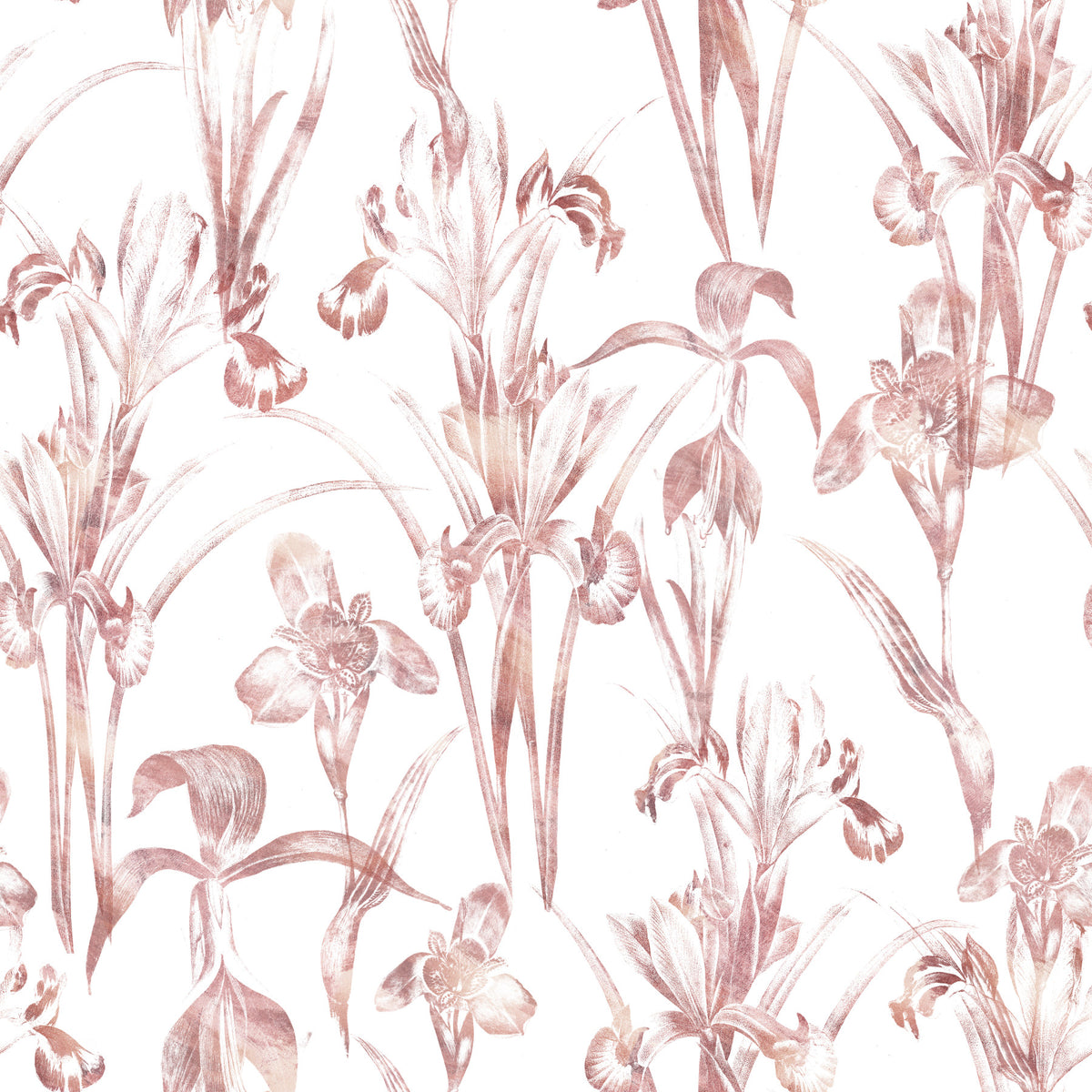 Ethereal Blush Iris Garden Wallpaper⁠ in your room