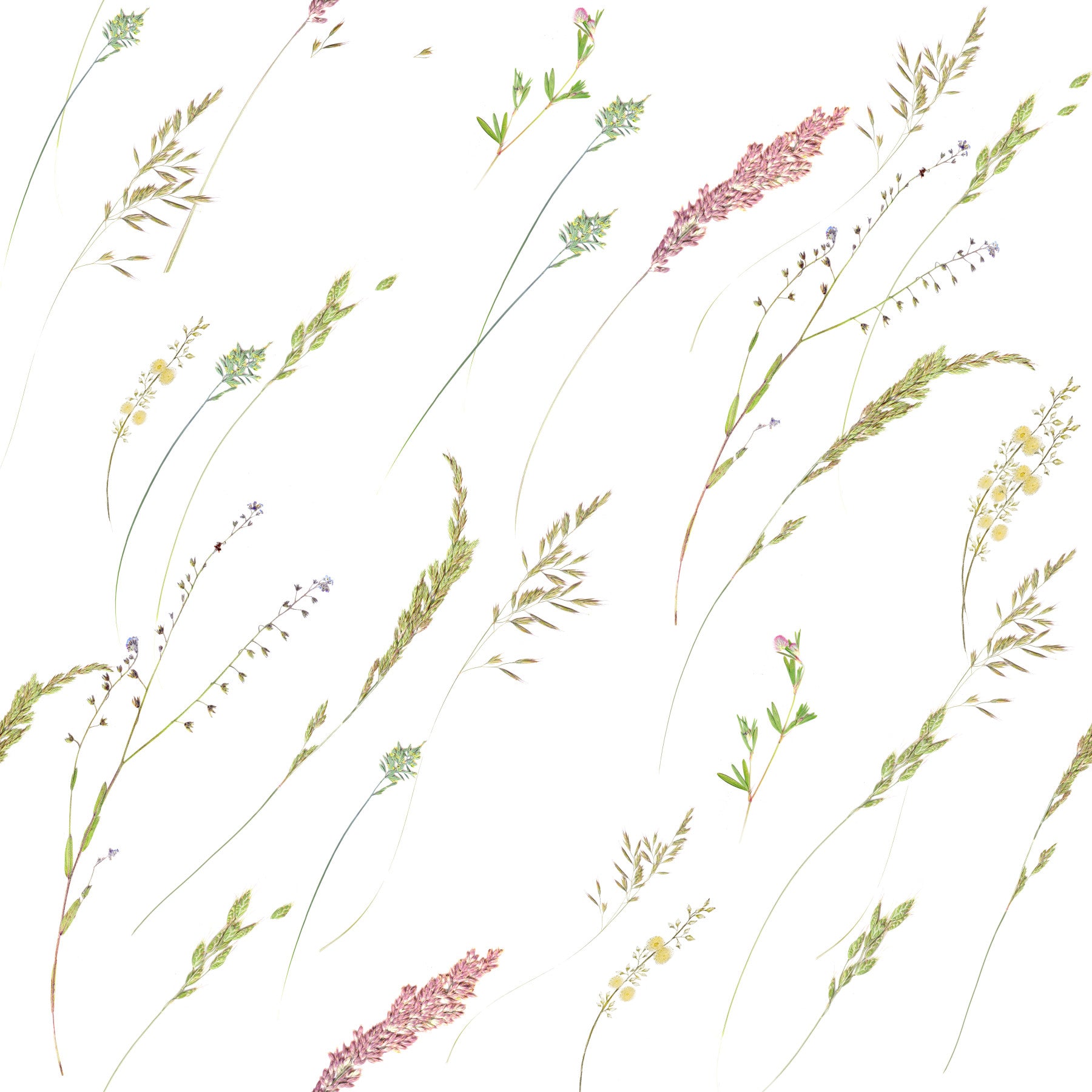 Rustic Meadow Sprigs Wallpaper⁠