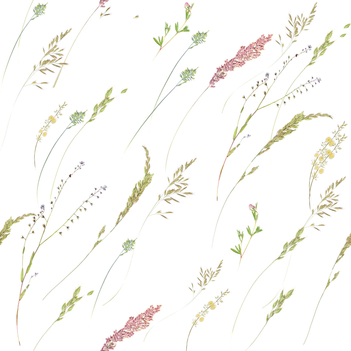 Rustic Meadow Sprigs Wallpaper⁠