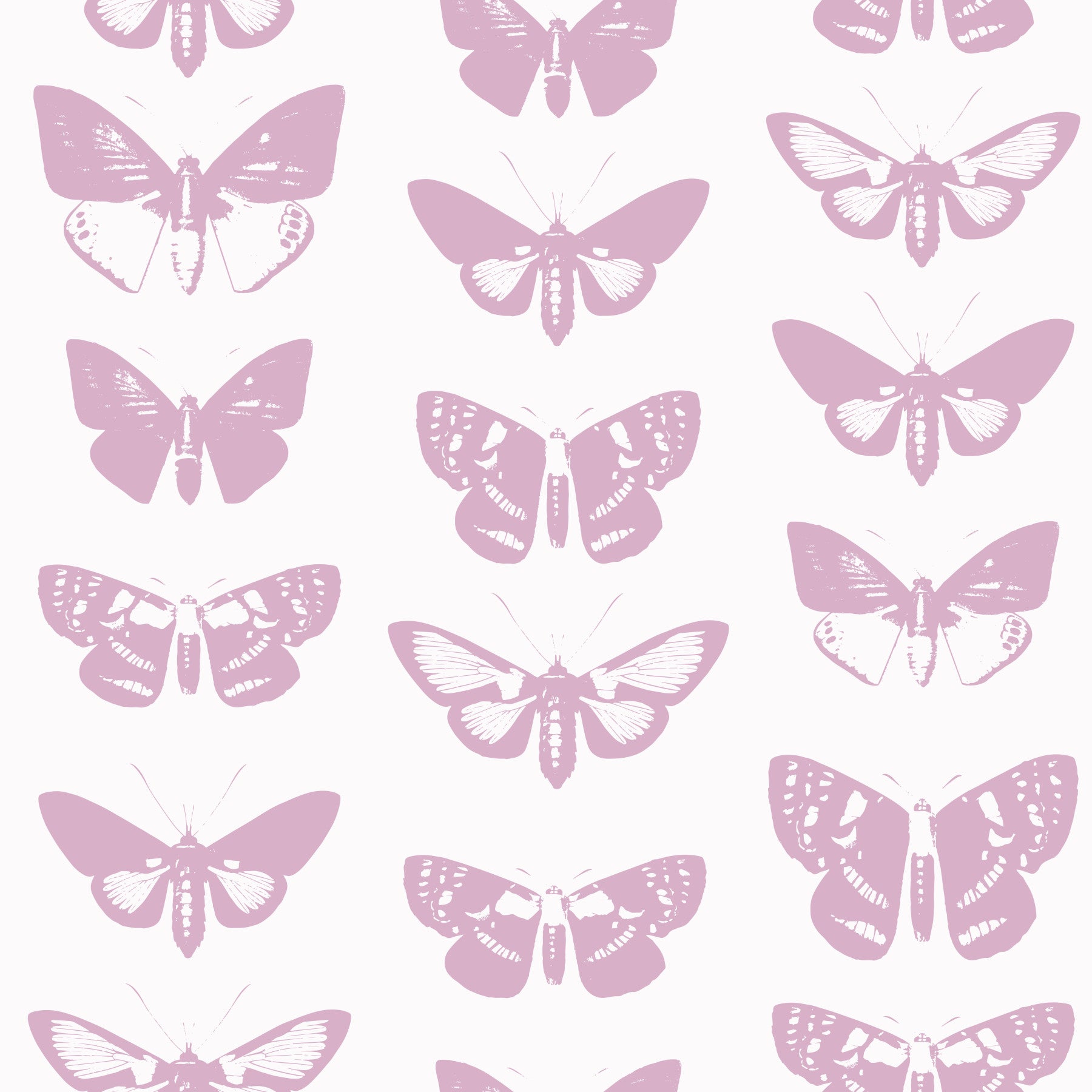 Soft Pink Moth Assemblage Wallpaper⁠